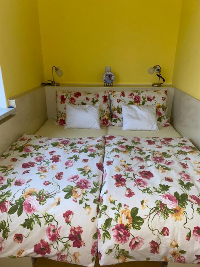 Rodinny Apartman 3+1 Horni Mesto Экстерьер фото